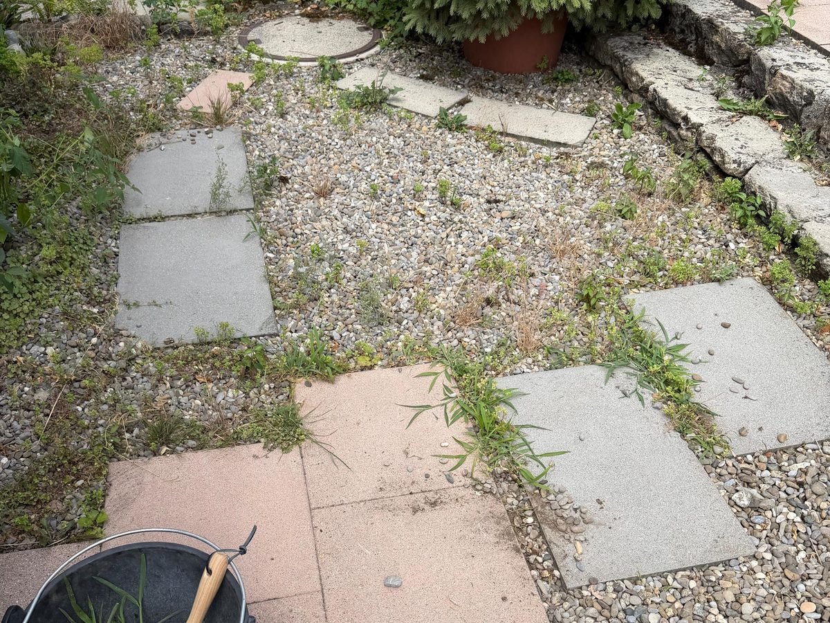 Verunkrauteter Kiesbereich mit Trittplatten an der Natursteinmauer